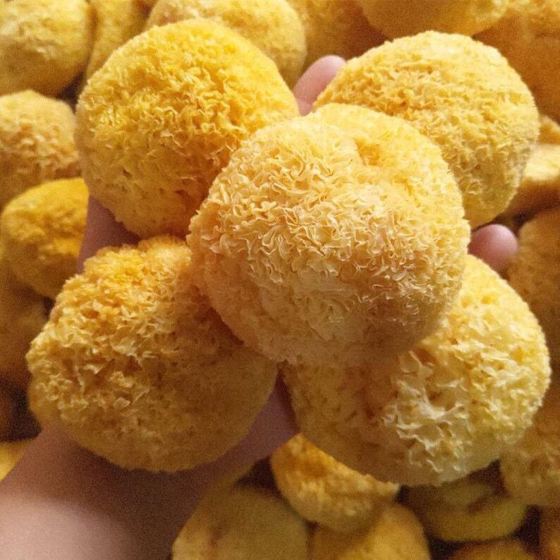 Organic Dried Tremella Snow White Fungus Mushrooms, Silver Ear, Yin Er Secondary image