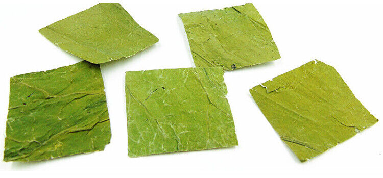 lotus leaf flakes lotus leaf shreds lotus leaf granules lotus leaf tea 17.6oz