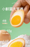 Salted Boiled Eggs Tiger Skin Flavor Snack 30g x 20 Pieces
