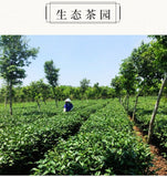 Wuzhishan Black Tea 100g Hainan High Mountain Large Leaf Cloud Mist Premium