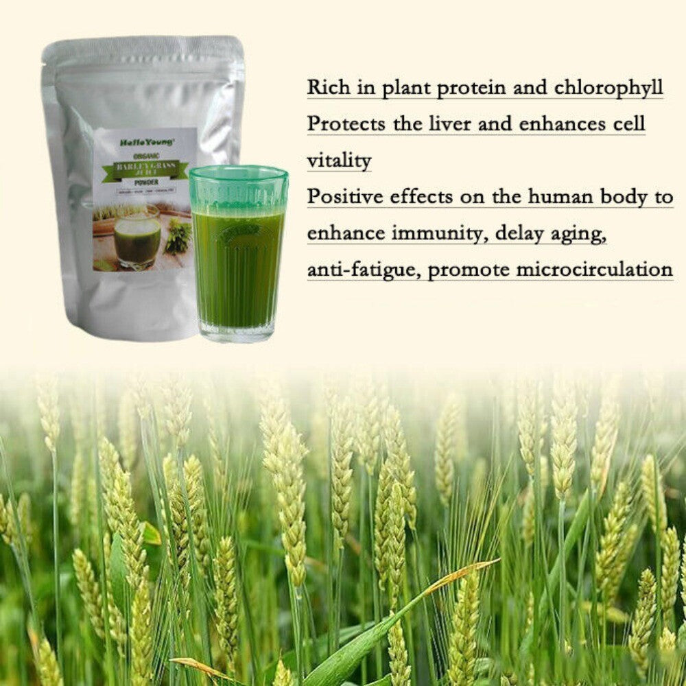 Barley Green Grass Powder Rich in Fiber No Additives Natural
