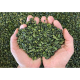 High quality Tie Guan Yin Anxi Oolong Tea New Year Tea Health Drink 500g
