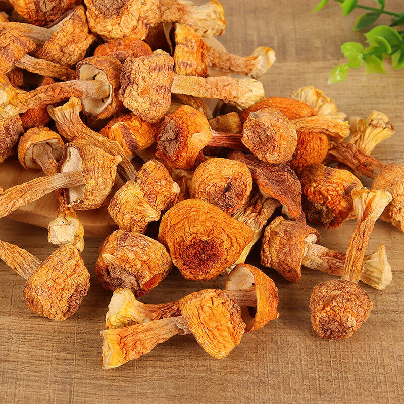 JiSongRong Top Grade Brazil Mushroom for Cooking Soup Chinese Dried Goods 100g