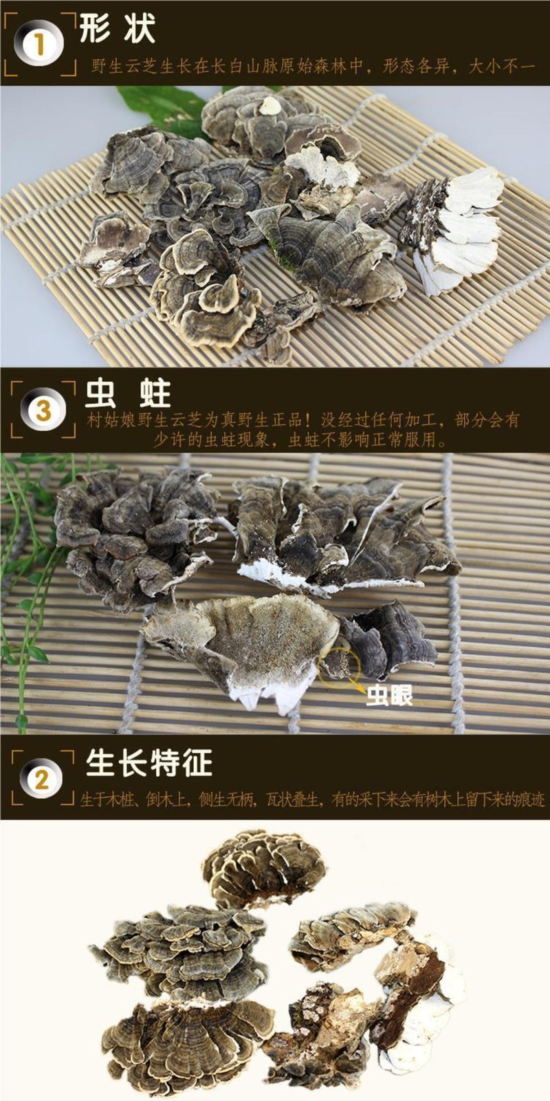 Wild Yunzhi Mushroom 250g Premium Dried Trametes Herbal