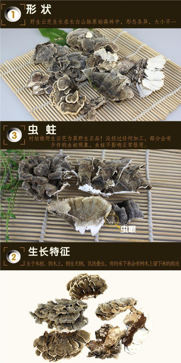 Wild Yunzhi Mushroom 250g Premium Dried Trametes Herbal