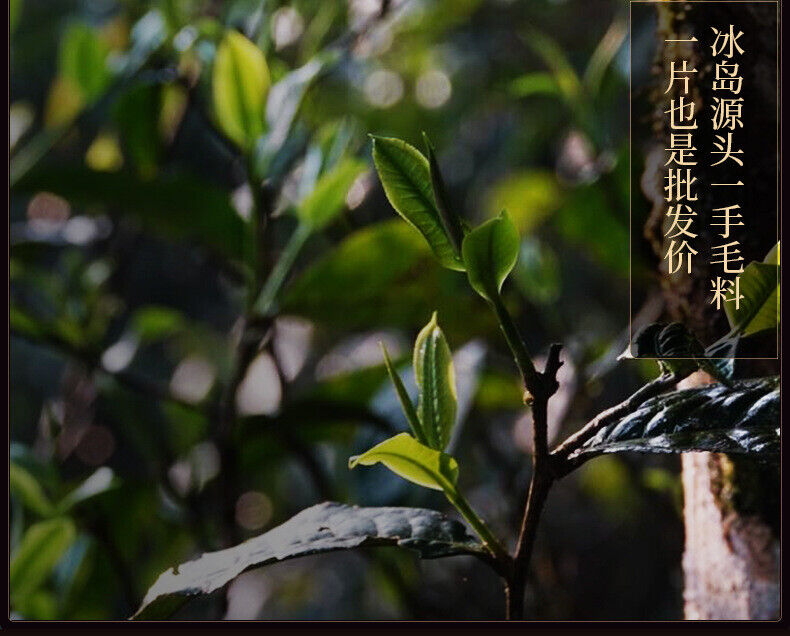 357g Yunnan Tea Cake Icelandic Puerh Tea Ripe Tea Pure Material