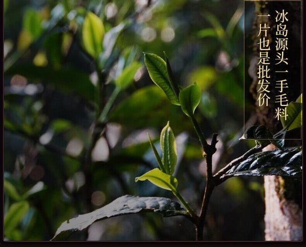 357g Yunnan Tea Cake Icelandic Puerh Tea Ripe Tea Pure Material
