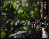 357g Yunnan Tea Cake Icelandic Puerh Tea Ripe Tea Pure Material