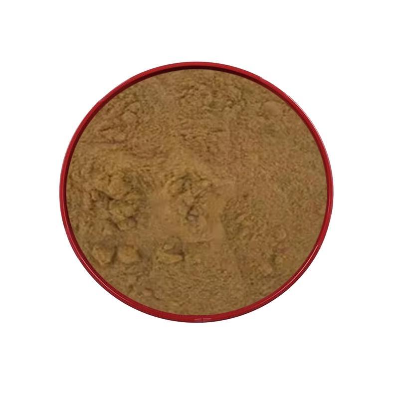 500g Premium St. John’s Wort Herb Extract 20:1 Powder Sealed Packaging
