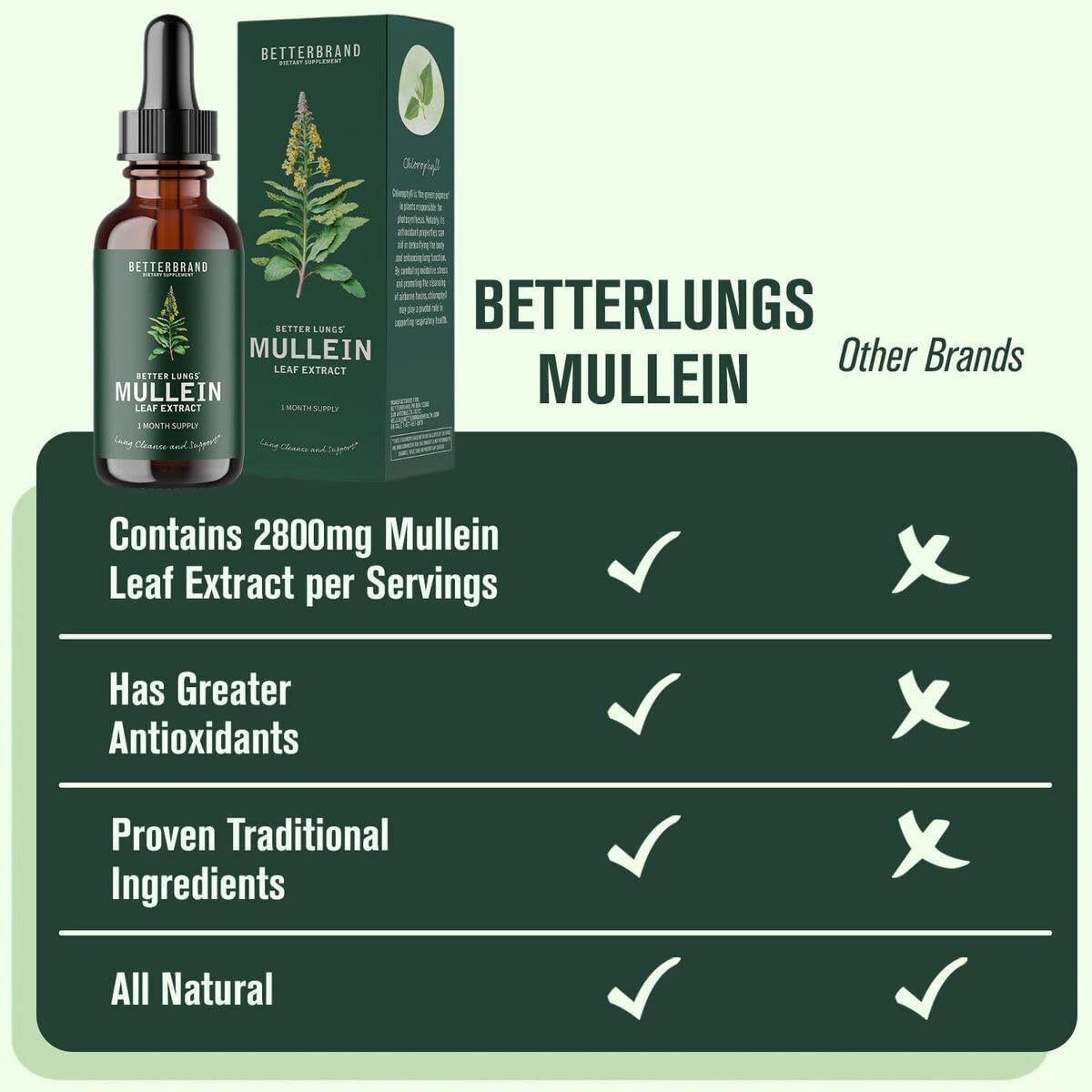 Support Lung Cleanse Mullein Leaf Extract Drops All-natural Ingredients