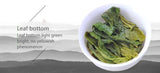 High Quality Hand-Made Special Green Tea Natural Tai Ping Hou Kui 50g
