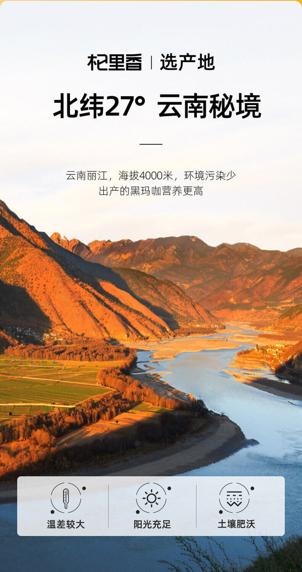 Maca 250 g de maca en canette Eau de maca noire Tranches de maca du Yunnan
