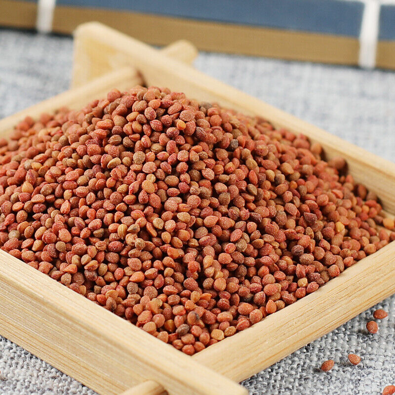500g Featured Natural Healthy Herbal TeasChu Shizi Top Quality Health Care 精选楮实子