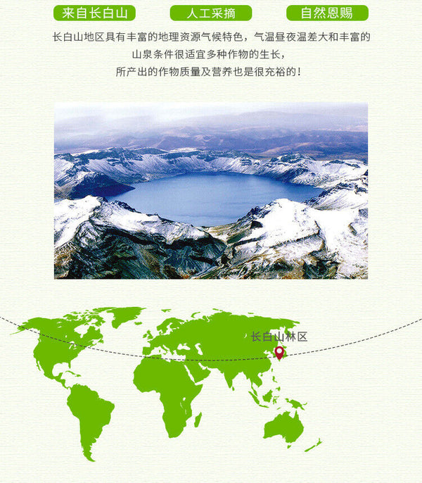 Changbai Mountain Lingzhi Tablet Red Ganoderma lucidum Wood Ganoderma lucidum