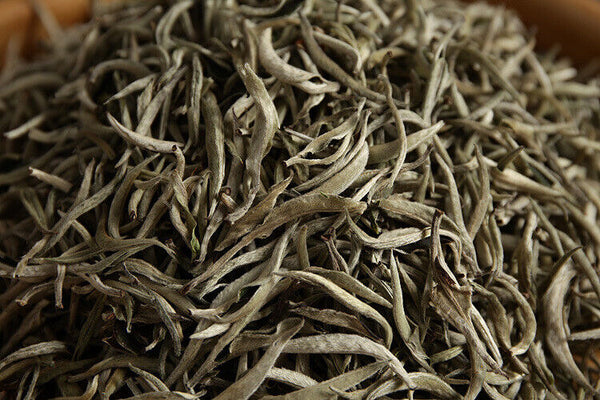 500g Puerh Tea Raw Tea White Hair Silver Needle Single Bud White Tea Loose Tea