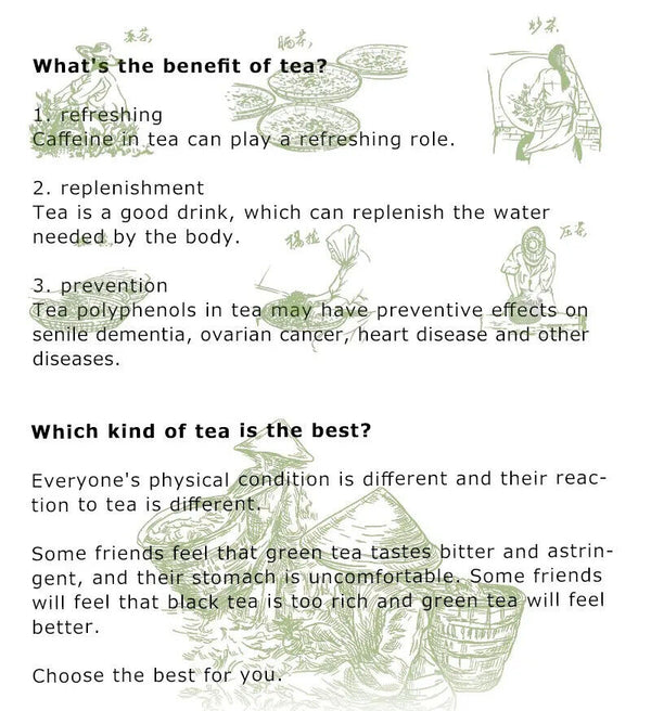 New Fresh Jasmine Tea Natural Organic Premium Jasmine Superior Green Tea