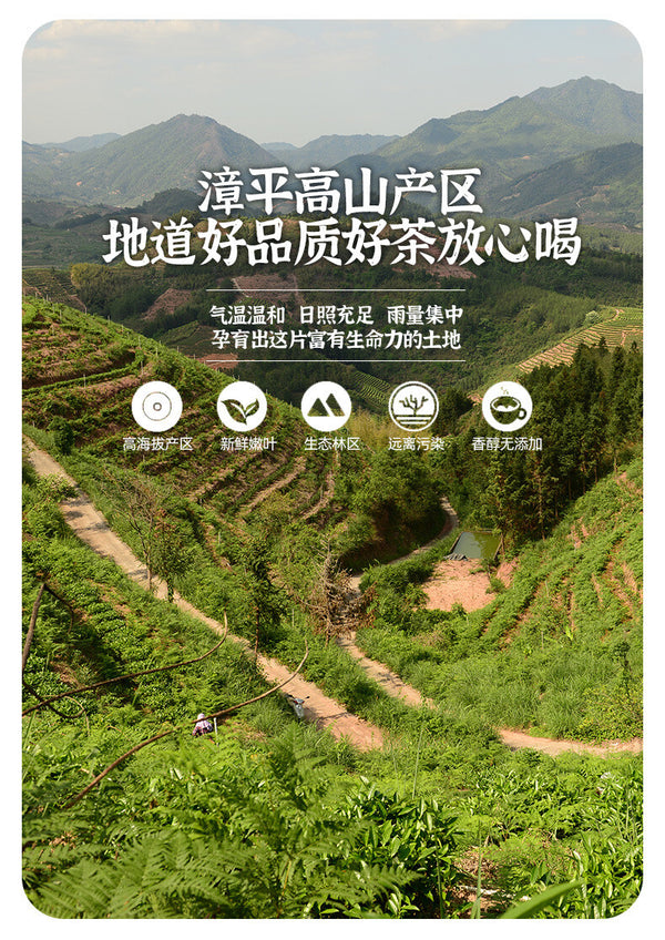 High Altitude Floral & Milky Aroma Oolong Tea Fujian Zhangping Shui Xian Tea