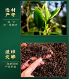 2016 Menghai Ripe Pu-erh Brown Brick Tea Aged Aroma Dry Storage Yunnan