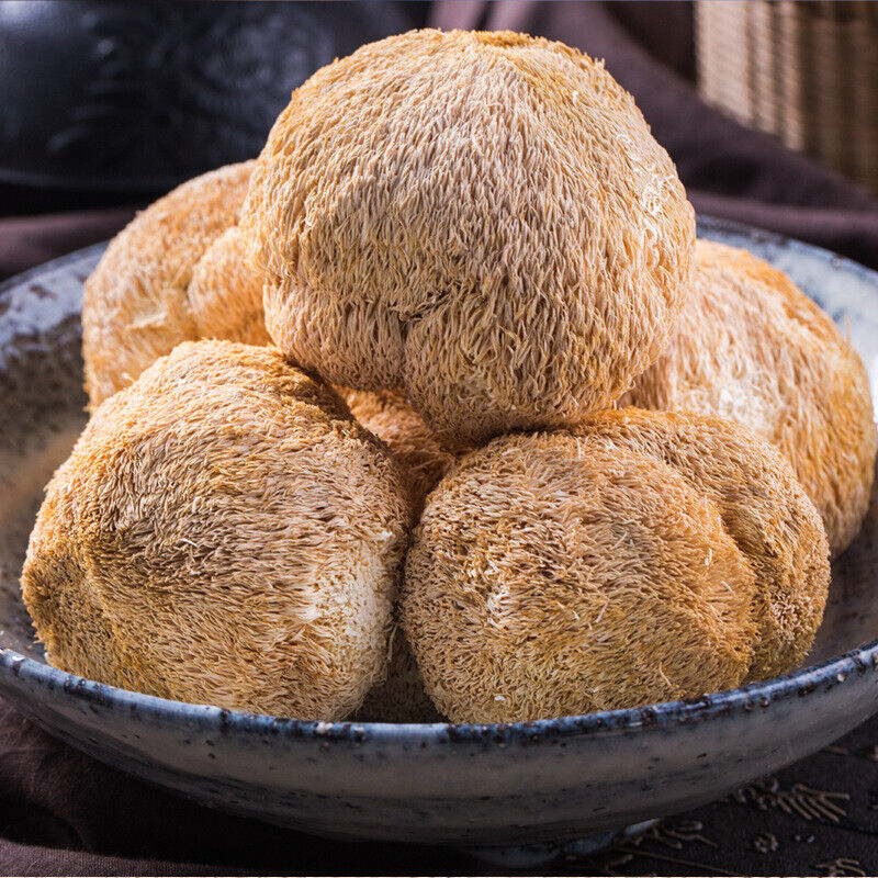 Sulfur-Free Dried Hericium Mushroom - Fresh, Loose Bulk Edible Fungi Secondary image