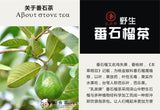 40g Guava Leaves Tea Chinese Tea Herbal Tea Bags 100% Natural Green Tea Diet Tea