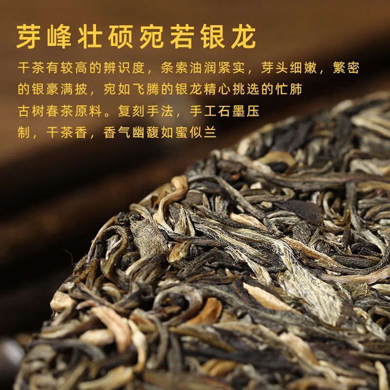 Plum Turnip Ancient Tree Puerh Tea Cake Aged Old Tree Head Spring Tea 357g