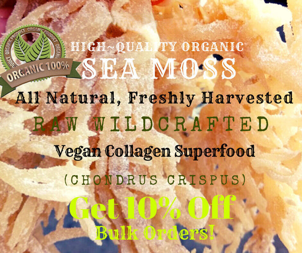 Organic Whole Leaf Irish Moss Sea Moss 8.8 Oz | Raw WildCrafted Superfood