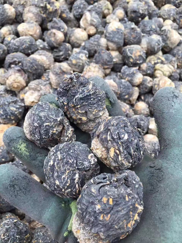 Extra Large Black Maca Kali River Maca Yunnan Maca Raw Materials Dried Fruits