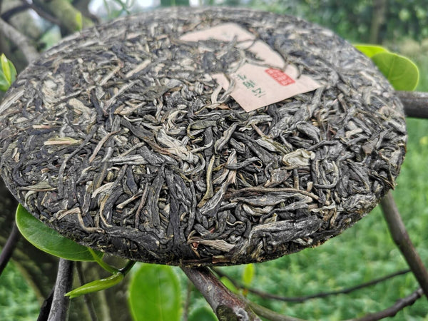 Yiwu Jiao Mu Pu'er Tea Yunnan Raw Tea Cake Primeval Forest Ecological Tea 12.6oz