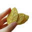 500g Golden Leaf Pu-erh Raw Tea Menghai Big Tree Golden Leaf Tea