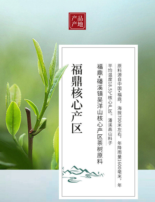 350g Fuding White Tea Panxi Gongmei Shoumei Gaoshan Sunshine Old White Tea Cake