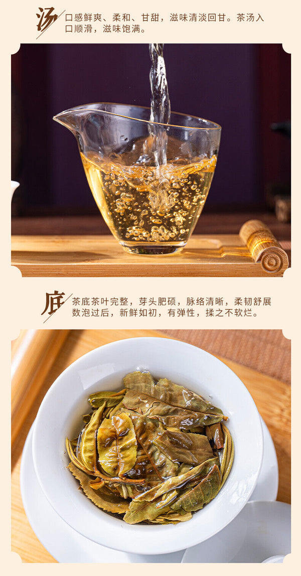 Premium Pu-erh Ancient Tree Honey Aroma Sweet Aftertaste Large Leaf Raw WhiteTea