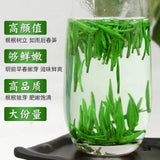 Premium Pre Qingming Xinyang Maojian Green Tea 2025 High Grade Zhushe