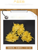 Golden silk chrysanthemum a cup of tribute chrysanthemum Wuyuan flower tea 30