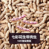 Yunnan Roasted Peanuts – Shelled, Colorful & Fresh, Wholesale Snack Seeds
