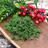 Chinese Ginseng Flower Tea Healthy and Natural Dried Herbal Tea Renshen Hua