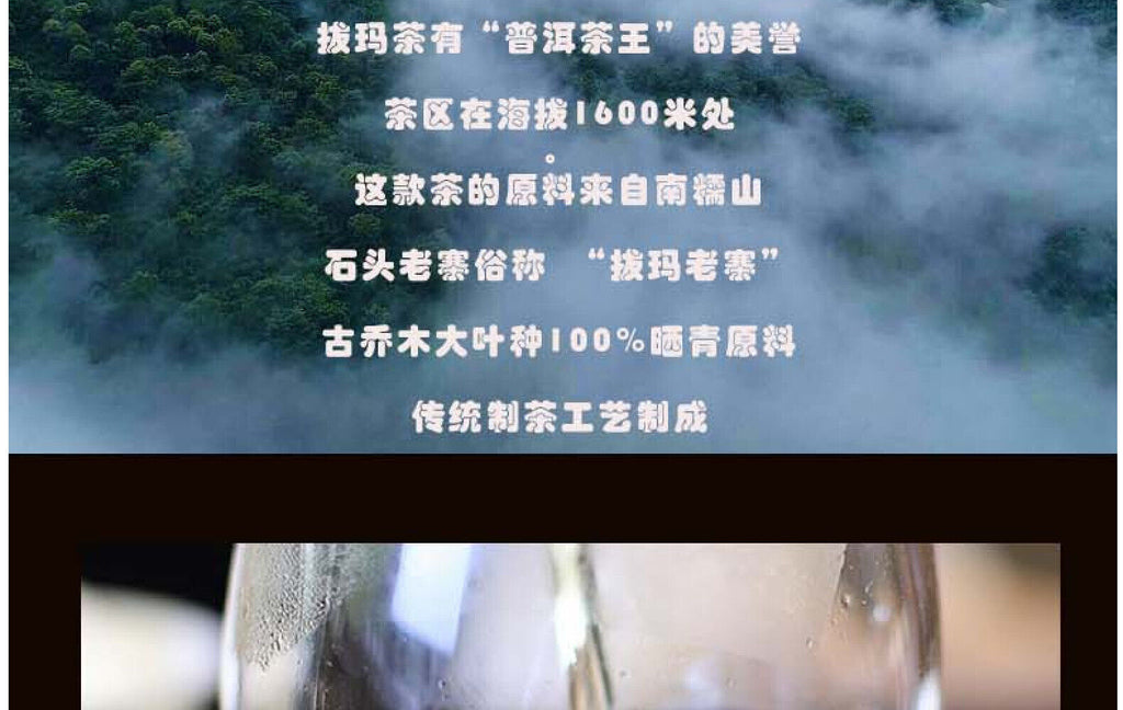 Yunnan Tea Nannuo Mountain Pema Ancient Tree First Spring Pu'er Raw Tea 100g