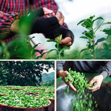 Wuyi Da Hong Pao Oolong Tea 250g Big Red Robe Loose Leaf Black