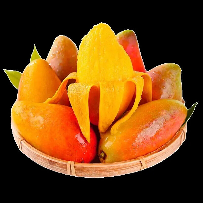 Natural Spray Dried Mango Juice Powder Mango Fruit Powder Fruit Flavor Powder