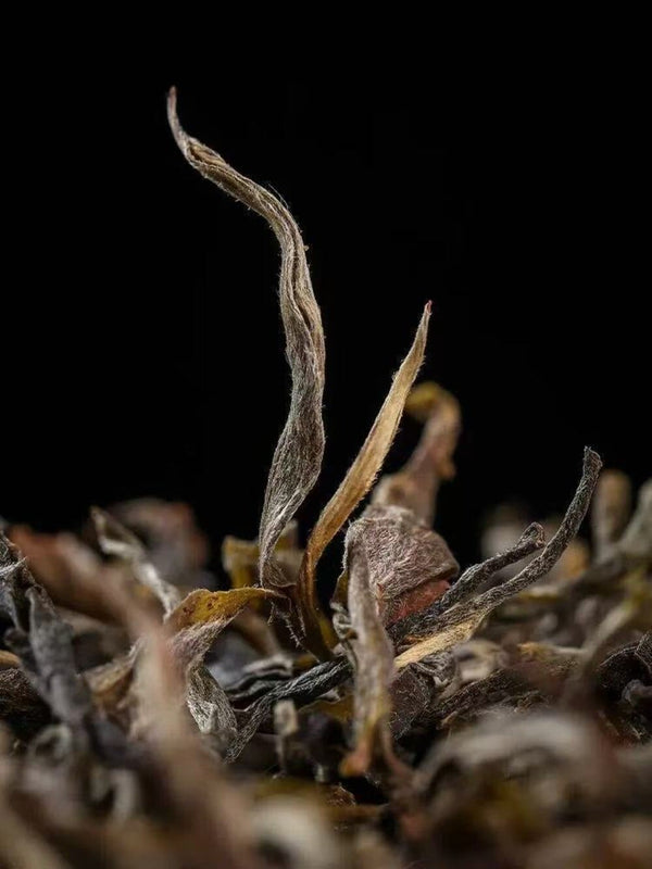 Yunnan Yiwu Ancient Tree Raw Pu-erh Tea Loose Leaf Tea Bags Premium