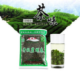 Top Grade Biluochun 2025 Pre Rain Spring Tea Light Aroma