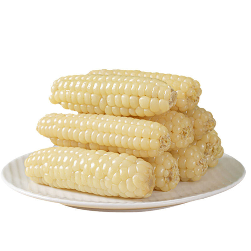 Yunnan Xishuangbanna Thumb Corn – Grade A Sticky Dai Specialty (500g) Main image