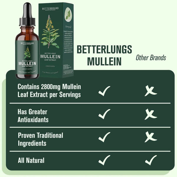 Support a Healthy Lung All-Natural Mullein Leaf Extract Drops for Lung Cleanse
