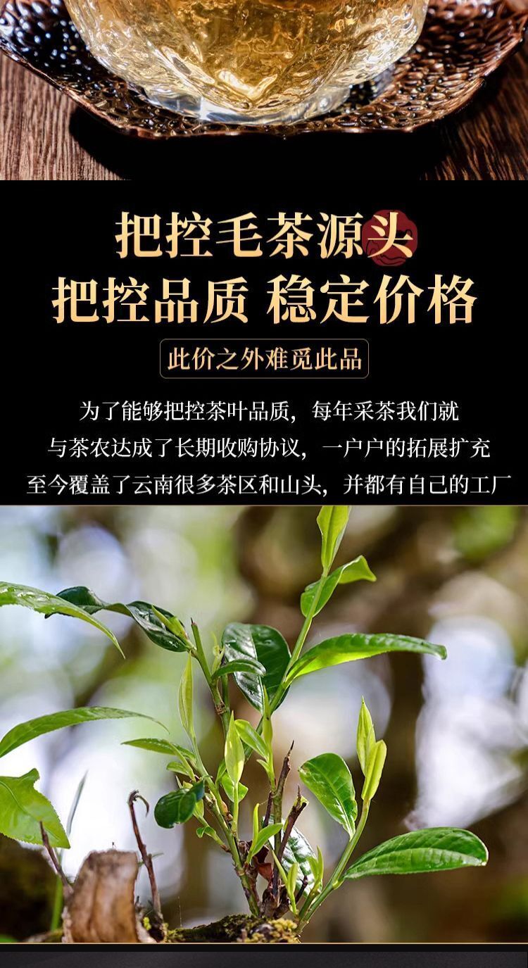 Iceland Puerh raw tea Yunnan seven son cake tea Lincang ancient tree tea 357g