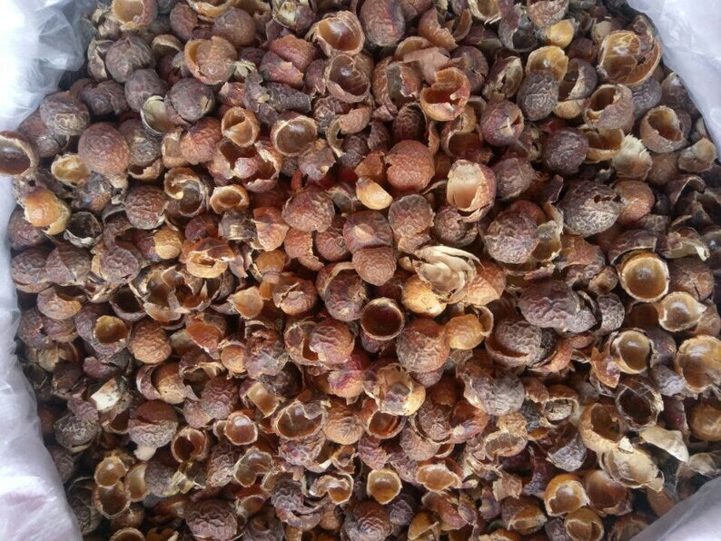 500g Organic Dried Soapberry Shell, Wu Huan Zi Ke Secondary image