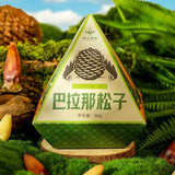 Yunnan Parana Pine Nuts – Hand-Picked Jumbo Shelled