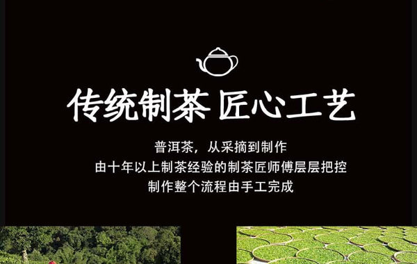 Yunnan Pu'er Banzhang Mother Tree First Spring Pu'er Raw Tea 357g Cake Tea
