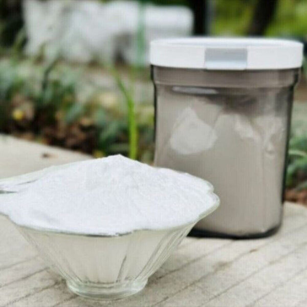 Food Grade White Birch Extract Powder Sap Concentrate Herbal Tea Premium Natural