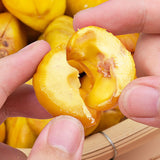 Chestnut Snack Sweet Chestnut Kernels Cooked and Instant Peeled Chestnut Meat