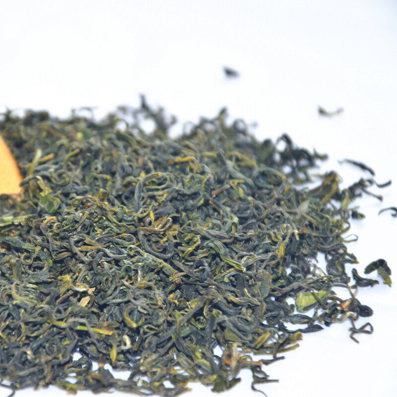 Rizhao Green Tea New Tea Strong Fragrance and Brewing Resistance 500g/1.1lb