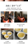 High Mountain Honey Orchid Fragrance Chaozhou Phoenix Dancong Tea Ya Shi Xiang